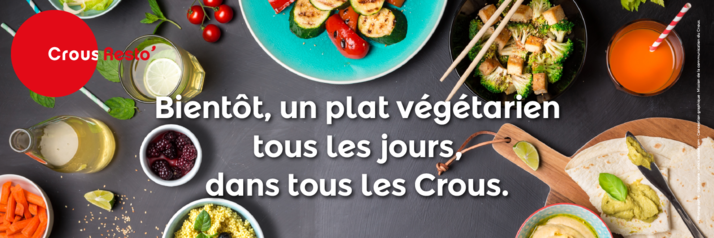 Un Plat Vegetarien Tous Les Jours Dans Tous Les Crous Etudiant Gouv